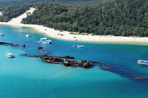 All Inclusive Dolphin And Tangalooma Wrecks Cruise - Pubs Adelaide 4