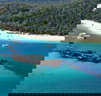 All Inclusive Tangalooma Wrecks Cruise Tour From Gold Coast - Pubs Adelaide