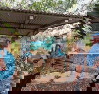 Bombing of Darwin World War II Tour with Harbour Cruise