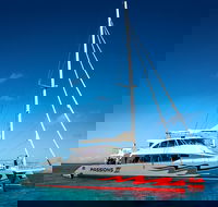 Passions of Paradise Great Barrier Reef Snorkel and Dive Cruise from Cairns by Luxury Catamaran - Pubs Adelaide