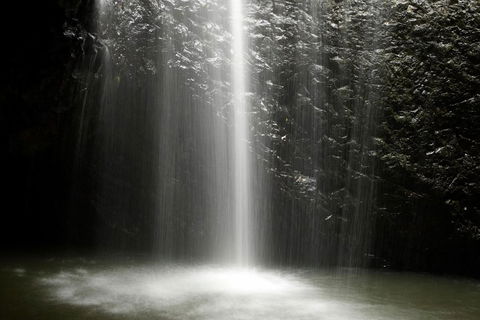 Natural Bridge Glow Worm Night Tour From Gold Coast - Pubs Adelaide 2