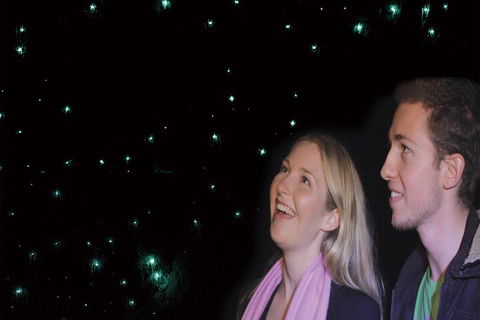 Natural Bridge Glow Worm Night Tour From Gold Coast - Pubs Adelaide 3
