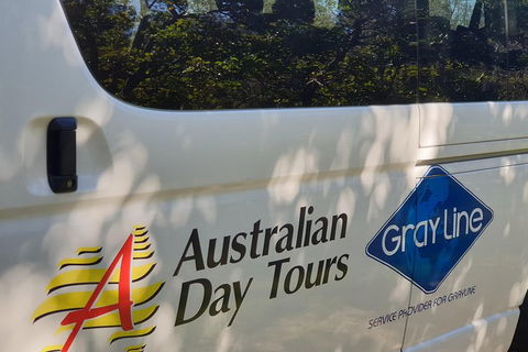 Natural Bridge Glow Worm Night Tour From Gold Coast - Pubs Adelaide 5