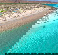 Ningaloo in a Day - Full Day Hike and Snorkel Tour with Lunch - Pubs Adelaide