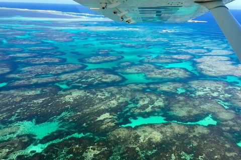Shipwreck Special Full Day Tour Of The Abrolhos Islands - Pubs Adelaide 1