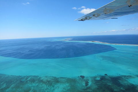 Shipwreck Special Full Day Tour Of The Abrolhos Islands - Pubs Adelaide 2