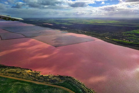 Kalbarri, Pink Lake And Abrolhos Islands Nature Tour - Pubs Adelaide 1