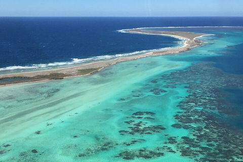 Kalbarri, Pink Lake And Abrolhos Islands Nature Tour - Pubs Adelaide 3