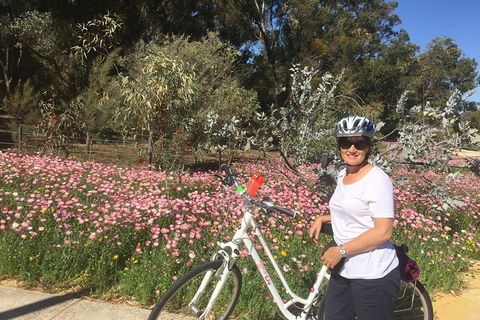 Perth Bike Tour - Beautiful Matilda Bay And Kings Park - Pubs Adelaide 1