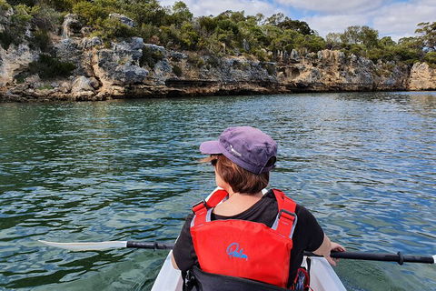 Cliffs And Caves Kayak Tour In Swan River - Pubs Adelaide 0