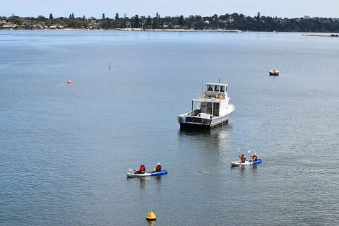 Cliffs And Caves Kayak Tour In Swan River - Pubs Adelaide 2
