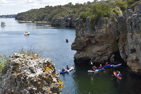 Cliffs And Caves Kayak Tour In Swan River - Pubs Adelaide 5