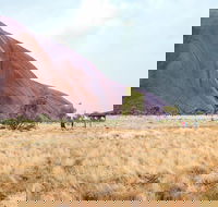 Uluru Sunrise and Guided Base Walk - Pubs Adelaide