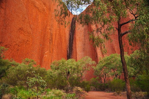 Uluru Sunrise And Guided Base Walk - Pubs Adelaide 3