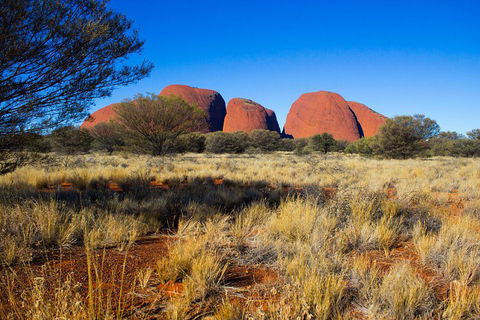Kata Tjuta Sunrise And Valley Of The Winds Half-Day Trip - Pubs Adelaide 1