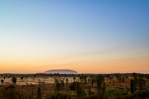 Uluru (Ayers Rock) Field Of Light Sunrise Tour - Pubs Adelaide 0