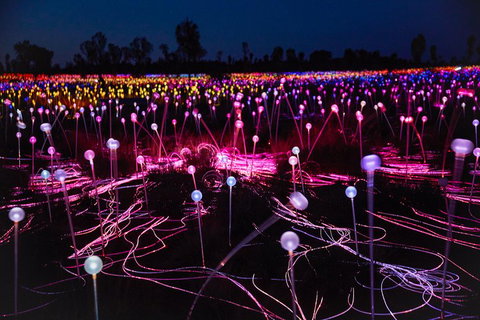 Uluru (Ayers Rock) Field Of Light Sunrise Tour - Pubs Adelaide 1
