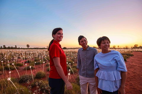 Uluru (Ayers Rock) Field Of Light Sunrise Tour - Pubs Adelaide 2