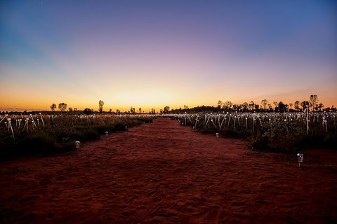 Uluru (Ayers Rock) Field Of Light Sunrise Tour - Pubs Adelaide 3