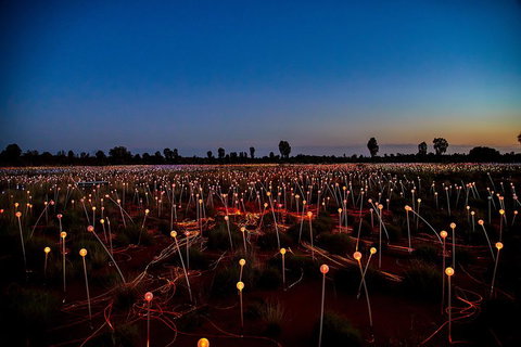 Uluru (Ayers Rock) Field Of Light Sunrise Tour - Pubs Adelaide 4