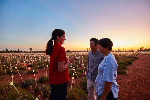 Uluru (Ayers Rock) Field Of Light Sunrise Tour - Pubs Adelaide 5