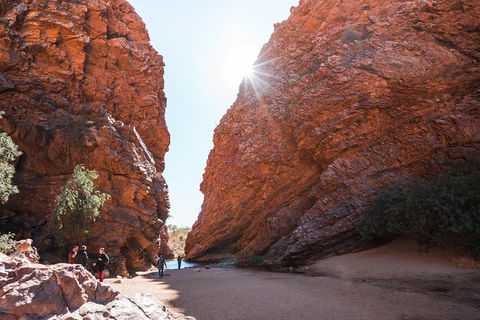 West MacDonnell Ranges- Half Day Trip From Alice Springs - Pubs Adelaide 0