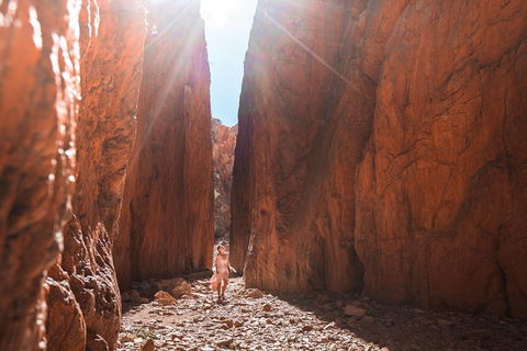 West MacDonnell Ranges- Half Day Trip From Alice Springs - Pubs Adelaide 4