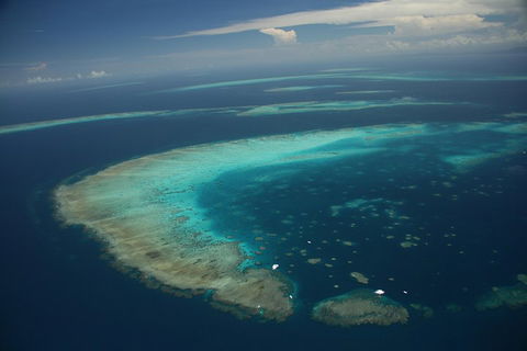 Great Barrier Reef Day Cruise From Cairns Including Snorkeling And Marine Biologist Presentation - Pubs Adelaide 1