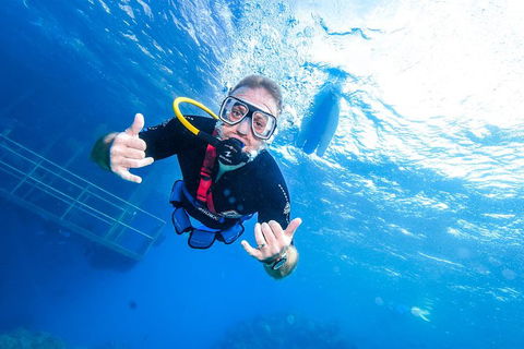 Great Barrier Reef Day Cruise From Cairns Including Snorkeling And Marine Biologist Presentation - Pubs Adelaide 3
