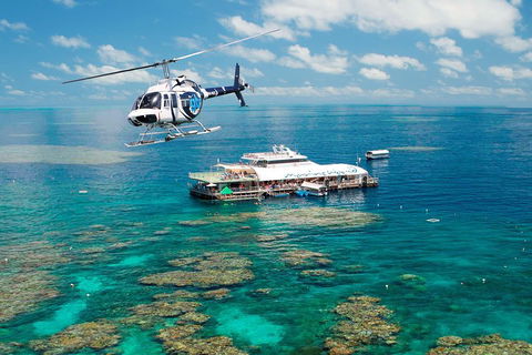 Great Barrier Reef Day Cruise From Cairns Including Snorkeling And Marine Biologist Presentation - Pubs Adelaide 5