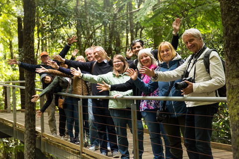 All Inclusive Blue Mountains Small-Group Day Trip From Sydney - Pubs Adelaide 5