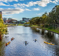 Adelaide City Kayak Tour - Pubs Adelaide