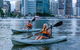 Brisbane Kayak Tour - thumb 3