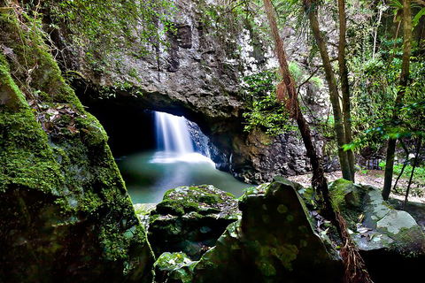 Natural Bridge & Springbrook Waterfalls Tour + Hot Air Balloon With Breakfast - Pubs Adelaide 4