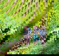 Tasmanian Wine Tour - Pubs Adelaide