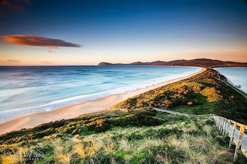 Bruny Island Private Charter Service - Pubs Adelaide 0