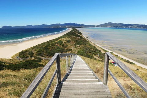 Bruny Island Private Charter Service - Pubs Adelaide 4