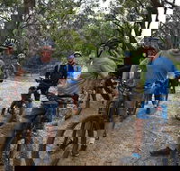 Fully guided E-Mountain Bike Tour on the beautiful Mornington Peninsula. - Pubs Adelaide