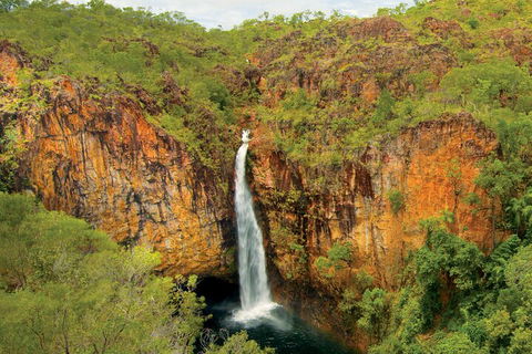 7 Days Darwin, Kakadu National Park, Katherine Gorge Touring Package - Pubs Adelaide 3