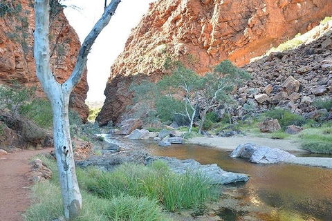 Alice Springs, Uluru Ayers Rock & Kings Canyon 8 Days Touring Package - Pubs Adelaide 2