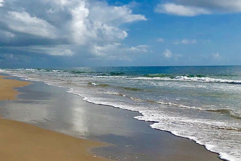 3 Nights 2 Full Days Private Guided Tour Of The Sunshine Coast And Hinterland - Pubs Adelaide 4