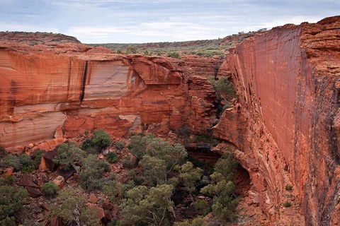 Uluru, Kata Tjuta And Kings Canyon Camping Safari From Ayers Rock - Pubs Adelaide 1