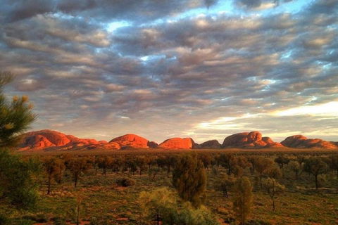 5-Hour Kata Tjuta Sunrise Tour From Ayers Rock With Breakfast - Pubs Adelaide 1