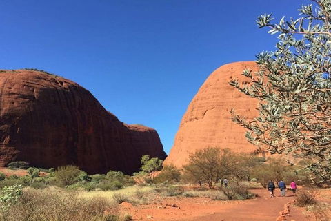5-Hour Kata Tjuta Sunrise Tour From Ayers Rock With Breakfast - Pubs Adelaide 4