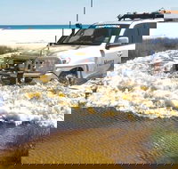 Full-Day Moreton Island 4x4 Sightseeing Tour - Pubs Adelaide
