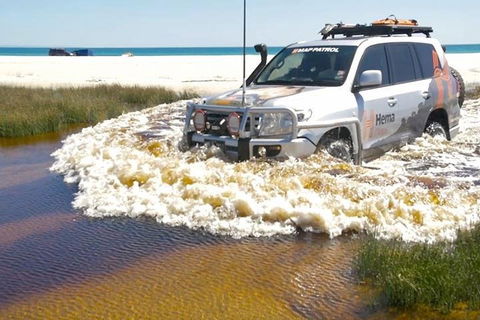 Full-Day Moreton Island 4x4 Sightseeing Tour - Pubs Adelaide 0
