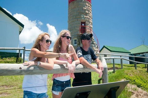Full-Day Moreton Island 4x4 Sightseeing Tour - Pubs Adelaide 3