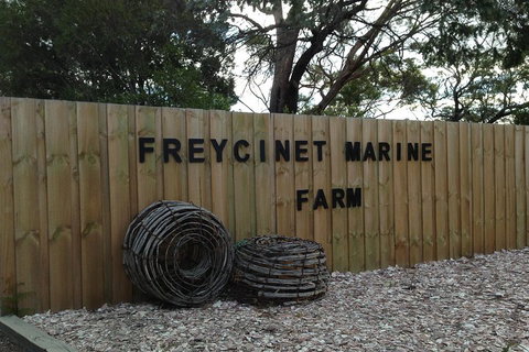 Active Day Tour One-Way From Launceston To Hobart Via Wineglass Bay - Pubs Adelaide 3