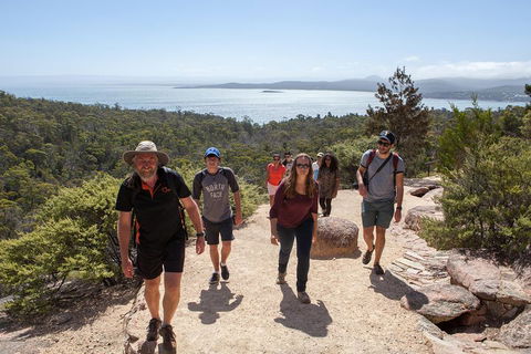 3-Day Tasmania Combo: Launceston To Hobart Active Tour Including Cradle Mountain, Freycinet National Park And Port Arthur - Pubs Adelaide 5
