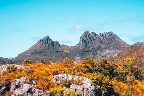 Cradle Mountain National Park Day Tour From Launceston - Pubs Adelaide 1